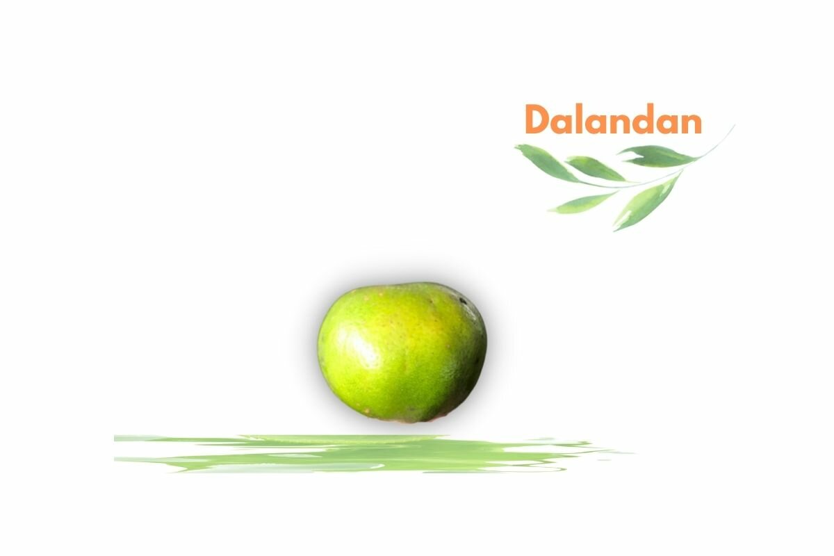 Dalandan