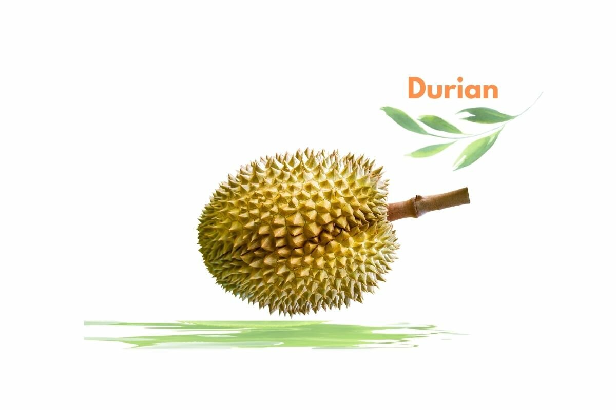 Durian