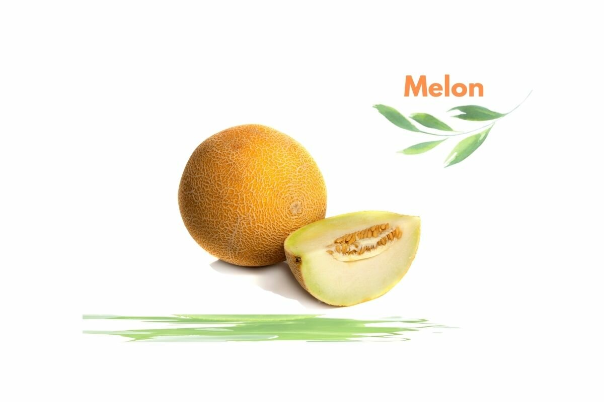 Melon