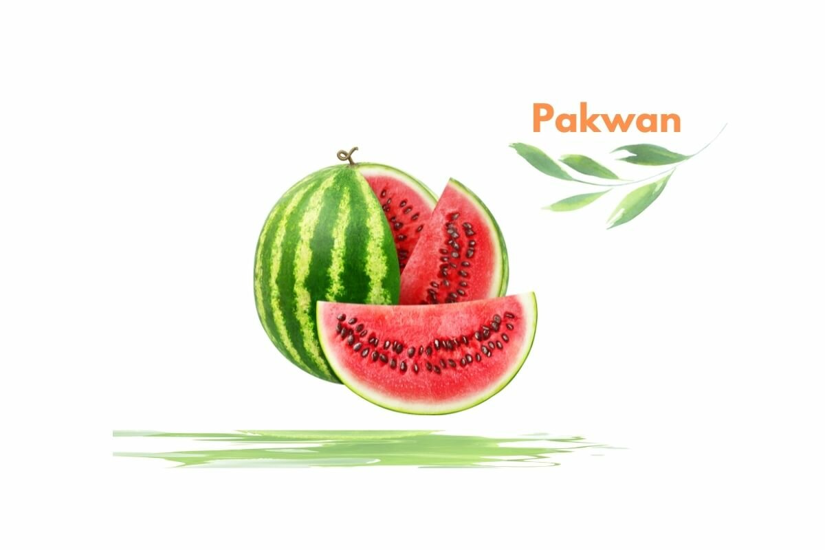 Pakwan