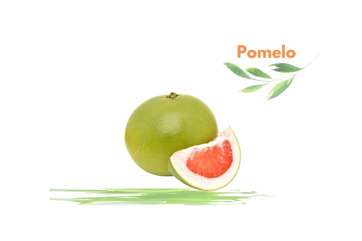 Pomelo