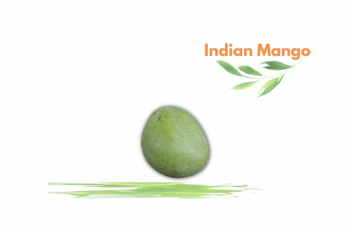 Indian Mango