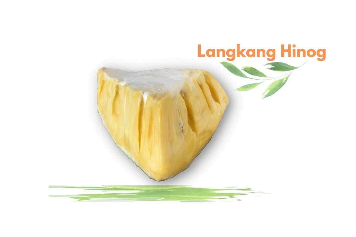 Langkang Hinog
